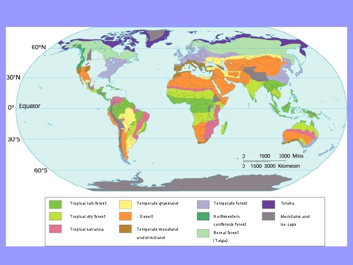 Tropical rain forest Tropical dry forest Tropical savanna Temperate grassland Desert Temperate woodland shrubland