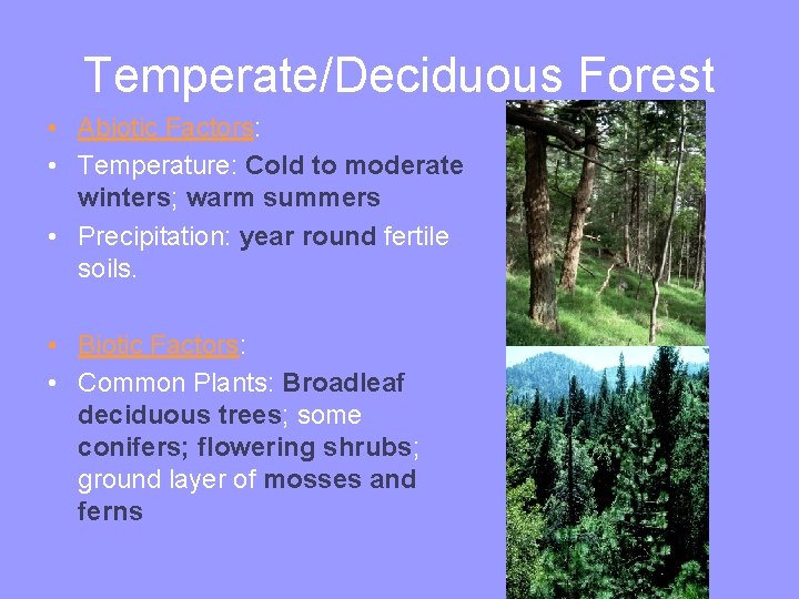 Temperate/Deciduous Forest • Abiotic Factors: • Temperature: Cold to moderate winters; warm summers •