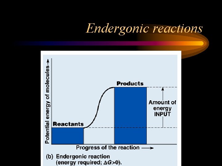 Endergonic reactions 