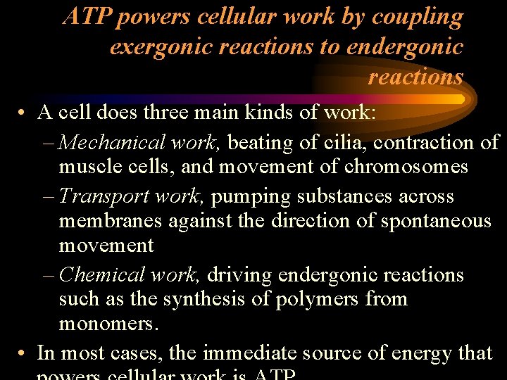 ATP powers cellular work by coupling exergonic reactions to endergonic reactions • A cell