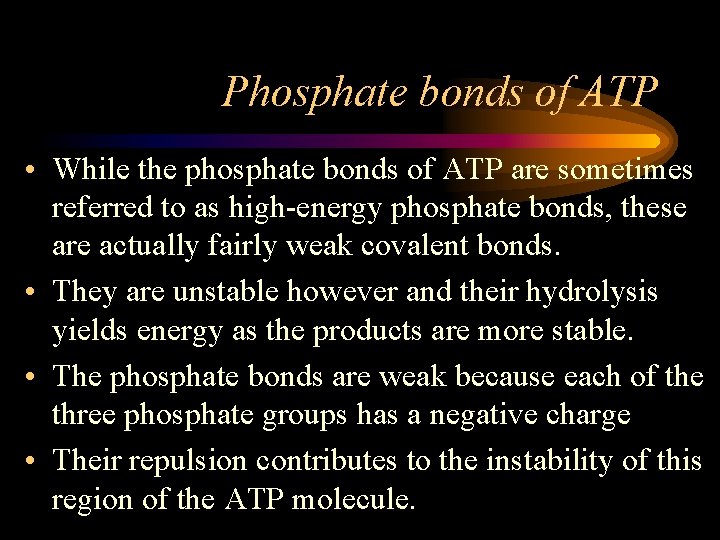 Phosphate bonds of ATP • While the phosphate bonds of ATP are sometimes referred