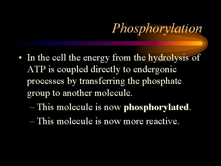 Phosphorylation • In the cell the energy from the hydrolysis of ATP is coupled