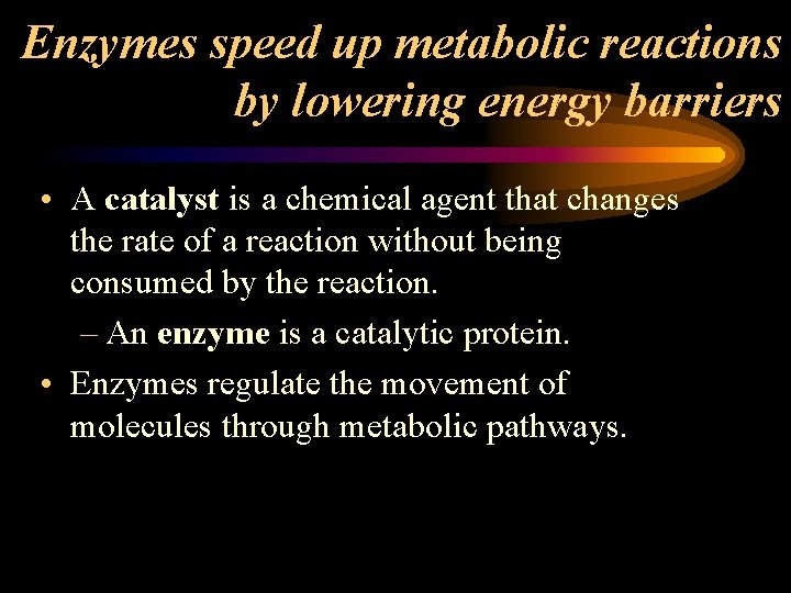 Enzymes speed up metabolic reactions by lowering energy barriers • A catalyst is a
