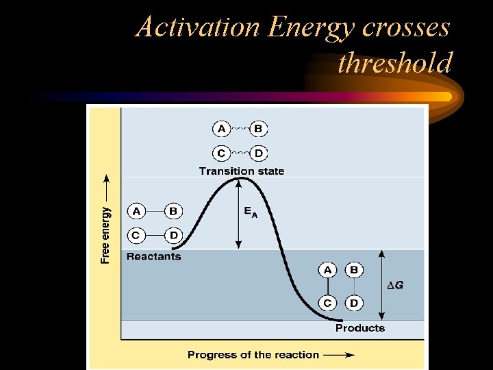 Activation Energy crosses threshold 