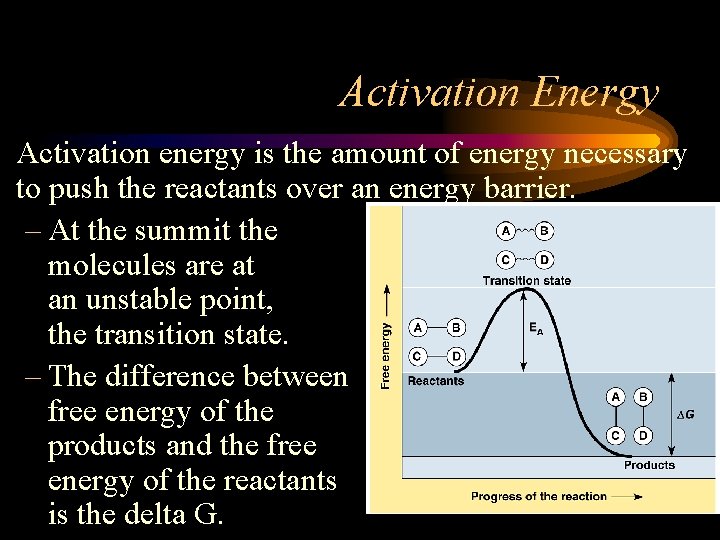 Activation Energy • Activation energy is the amount of energy necessary to push the