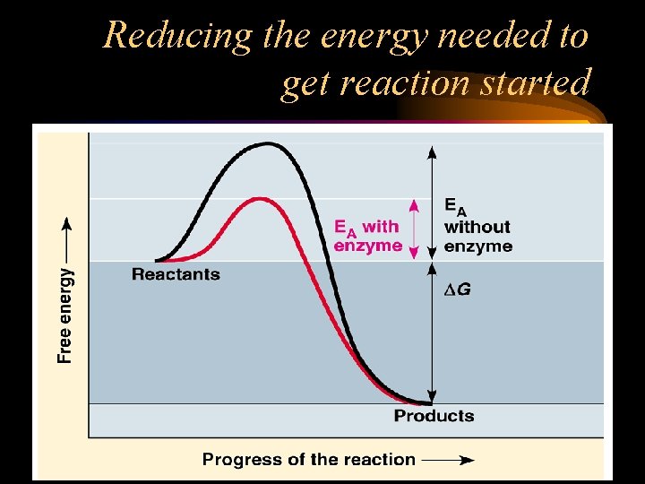 Reducing the energy needed to get reaction started 