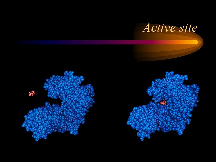 Active site 