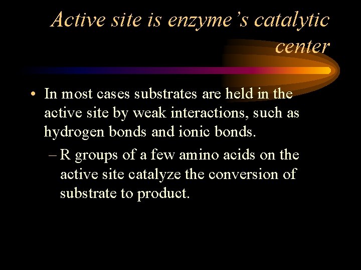 Active site is enzyme’s catalytic center • In most cases substrates are held in