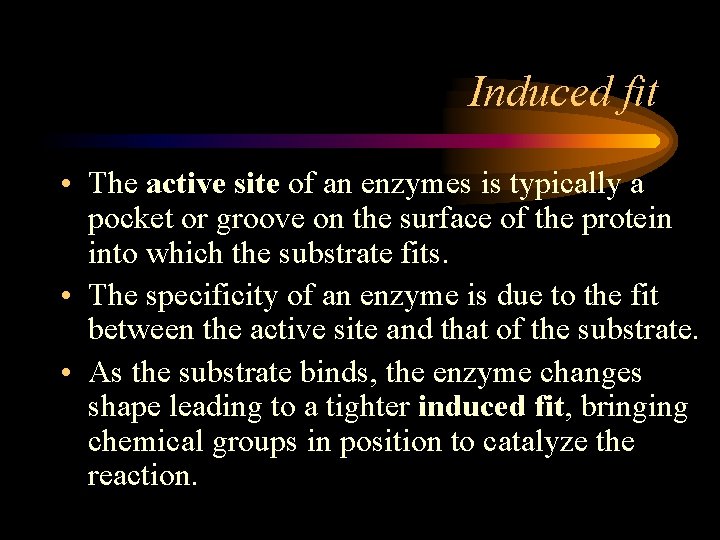 Induced fit • The active site of an enzymes is typically a pocket or