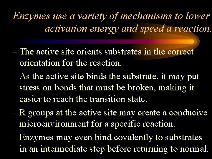 Enzymes use a variety of mechanisms to lower activation energy and speed a reaction.