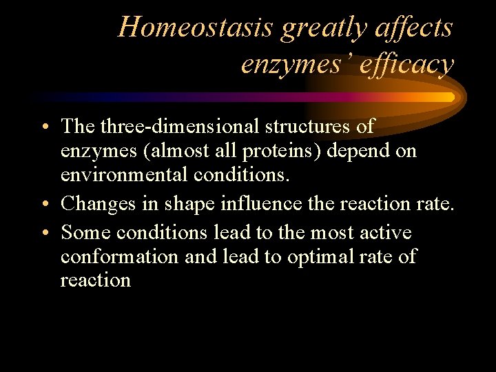 Homeostasis greatly affects enzymes’ efficacy • The three-dimensional structures of enzymes (almost all proteins)