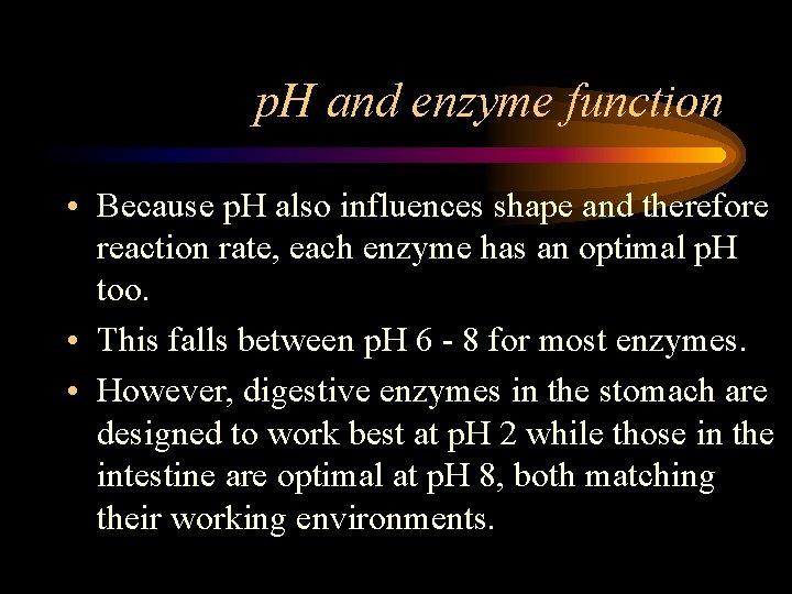 p. H and enzyme function • Because p. H also influences shape and therefore