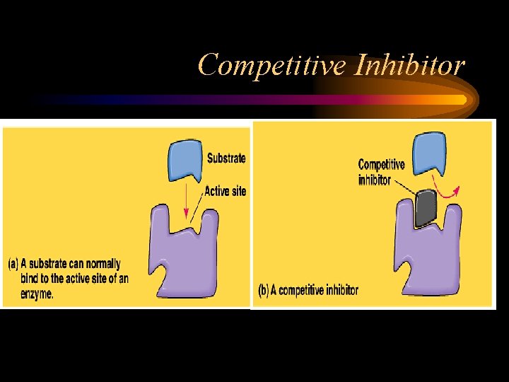 Competitive Inhibitor 