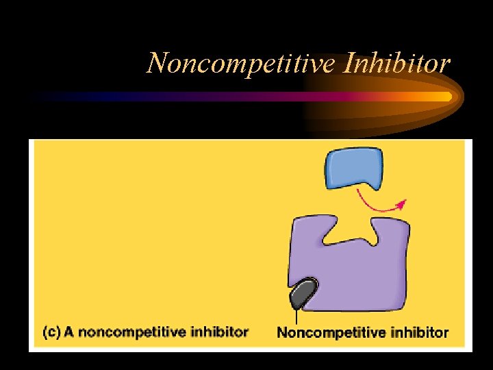 Noncompetitive Inhibitor 
