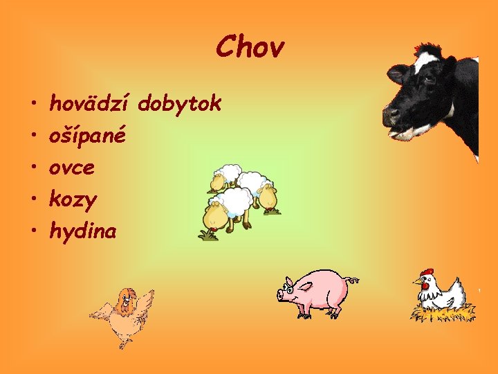 Chov • • • hovädzí dobytok ošípané ovce kozy hydina 