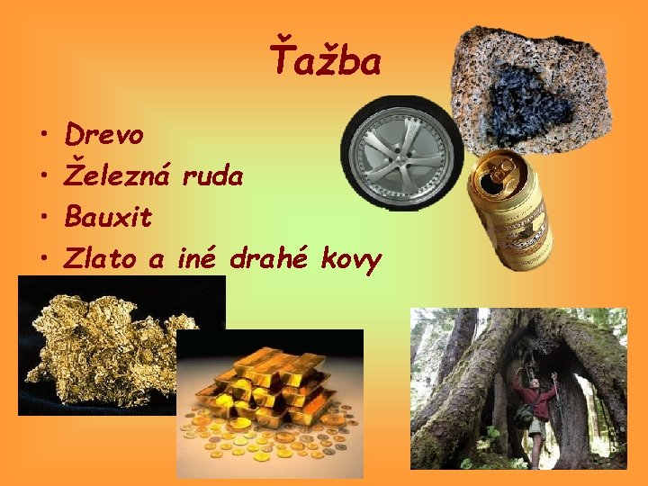 Ťažba • • Drevo Železná ruda Bauxit Zlato a iné drahé kovy 