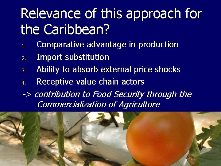 Relevance of this approach for the Caribbean? 1. 2. 3. 4. Comparative advantage in