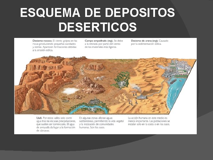 ESQUEMA DE DEPOSITOS DESERTICOS 