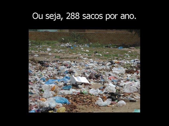 Ou seja, 288 sacos por ano. 