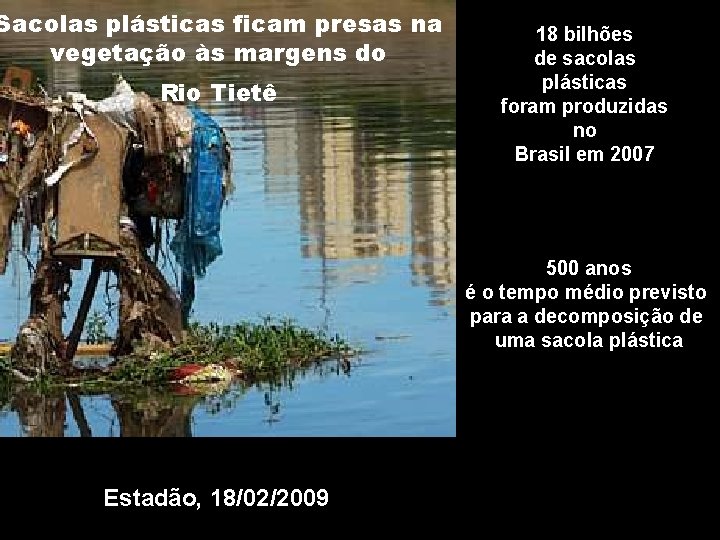 Sacolas plásticas ficam presas na vegetação às margens do Rio Tietê 18 bilhões de