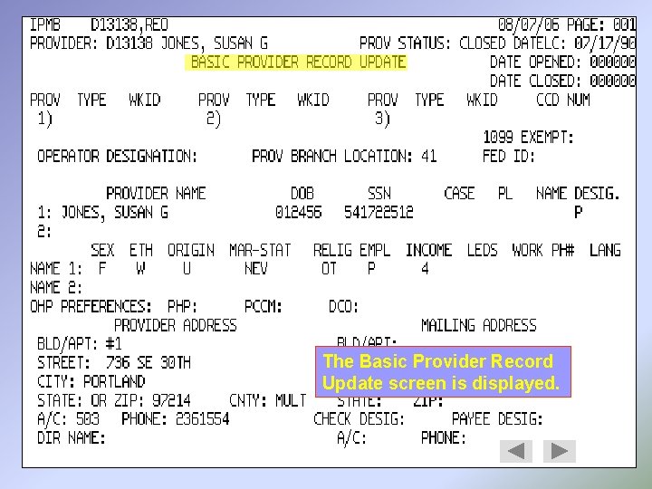 The Basic Provider Record Update screen is displayed. 