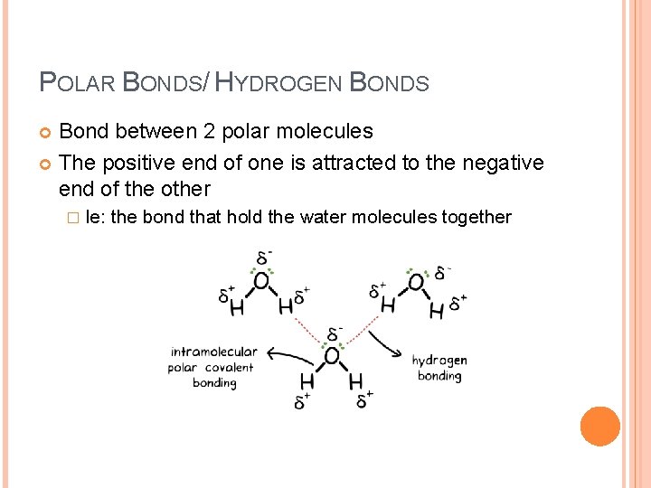 POLAR BONDS/ HYDROGEN BONDS Bond between 2 polar molecules The positive end of one
