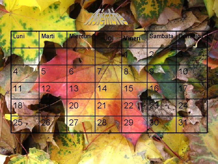 Luni Marti Miercuri Joi Vineri Sambata Duminica 1 2 3 4 5 6 7