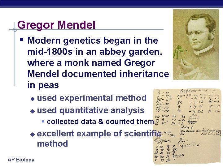 Gregor Mendel § Modern genetics began in the mid-1800 s in an abbey garden,