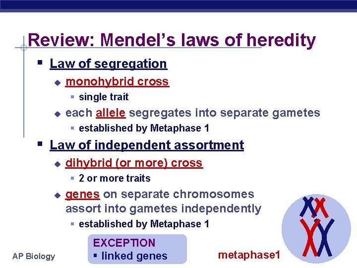 Review: Mendel’s laws of heredity § Law of segregation u monohybrid cross § single