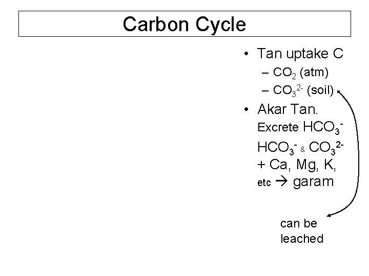 Carbon Cycle • Tan uptake C – CO 2 (atm) – CO 32 -