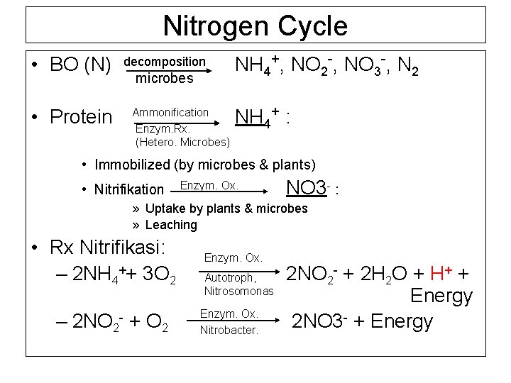 Nitrogen Cycle • BO (N) decomposition microbes • Protein Ammonification Enzym. Rx. (Hetero. Microbes)