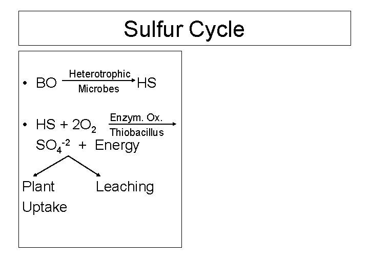 Sulfur Cycle • BO Heterotrophic Microbes HS Enzym. Ox. • HS + 2 O