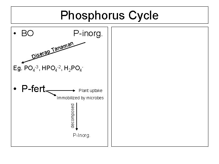 Phosphorus Cycle • BO rap e s i D P-inorg. an m a an