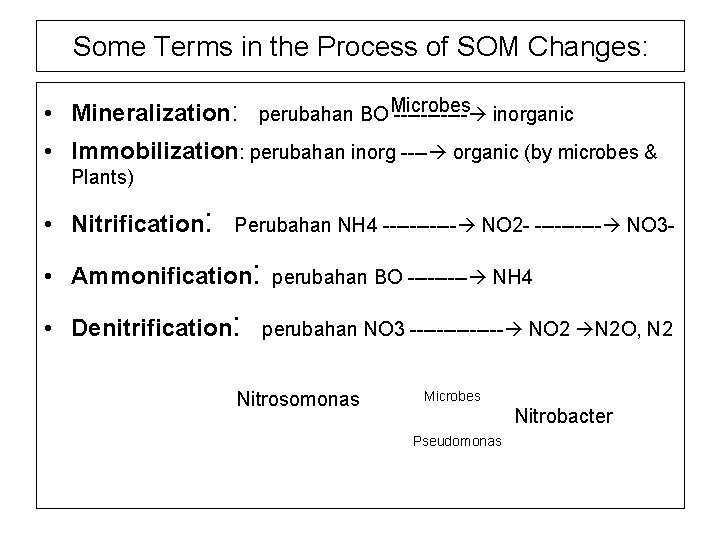 Some Terms in the Process of SOM Changes: • Mineralization: perubahan BO Microbes ------