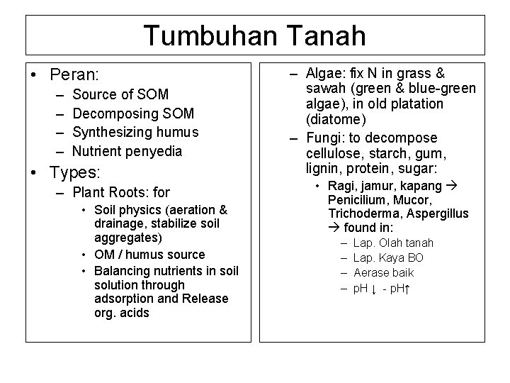 Tumbuhan Tanah • Peran: – – Source of SOM Decomposing SOM Synthesizing humus Nutrient
