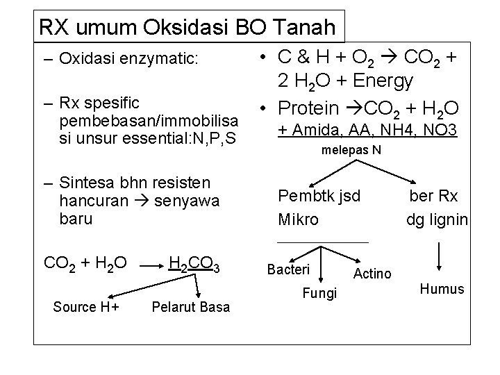 RX umum Oksidasi BO Tanah – Oxidasi enzymatic: – Rx spesific pembebasan/immobilisa si unsur