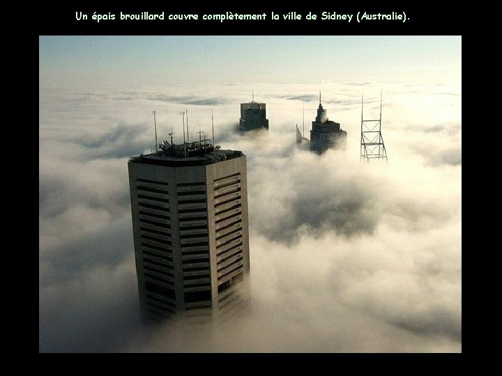 Un épais brouillard couvre complètement la ville de Sidney (Australie). 