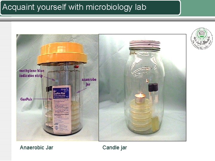 Acquaint yourself with microbiology lab Anaerobic Jar Candle jar 