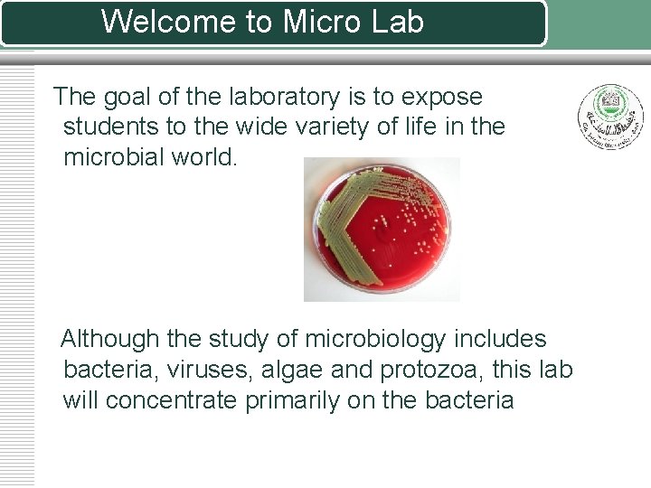 Welcome to Micro Lab The goal of the laboratory is to expose students to