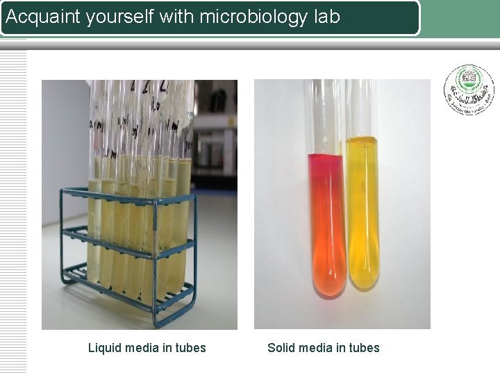 Acquaint yourself with microbiology lab Liquid media in tubes Solid media in tubes 