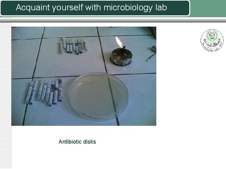 Acquaint yourself with microbiology lab Antibiotic disks 