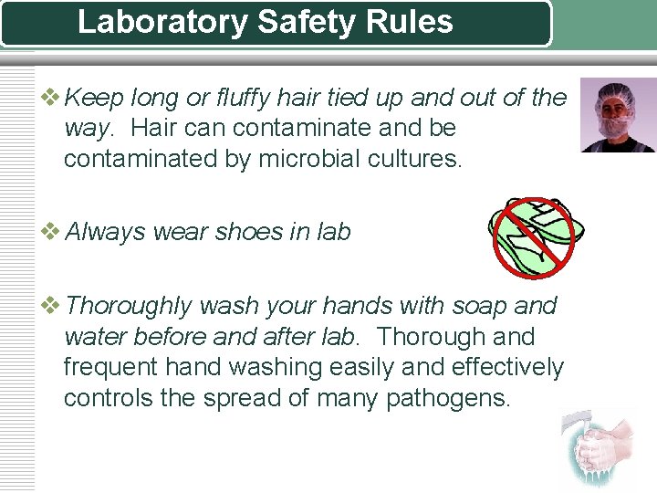 Laboratory Safety Rules v Keep long or fluffy hair tied up and out of