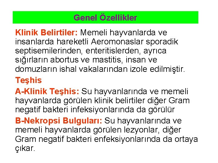 Genel Özellikler Klinik Belirtiler: Memeli hayvanlarda ve insanlarda hareketli Aeromonaslar sporadik septisemilerinden, enteritislerden, ayrıca