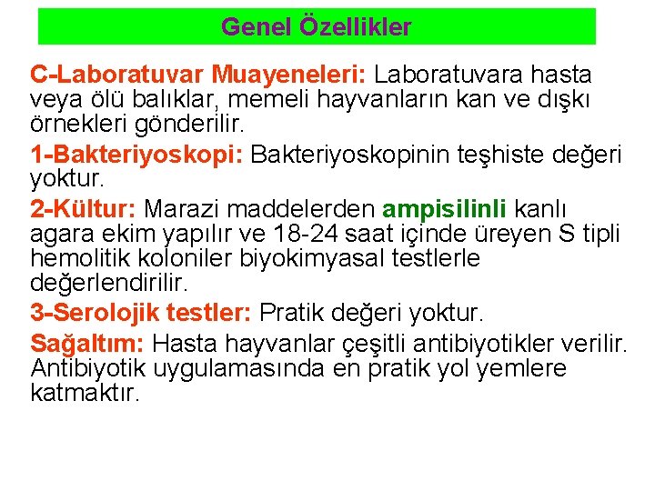 Genel Özellikler C-Laboratuvar Muayeneleri: Laboratuvara hasta veya ölü balıklar, memeli hayvanların kan ve dışkı