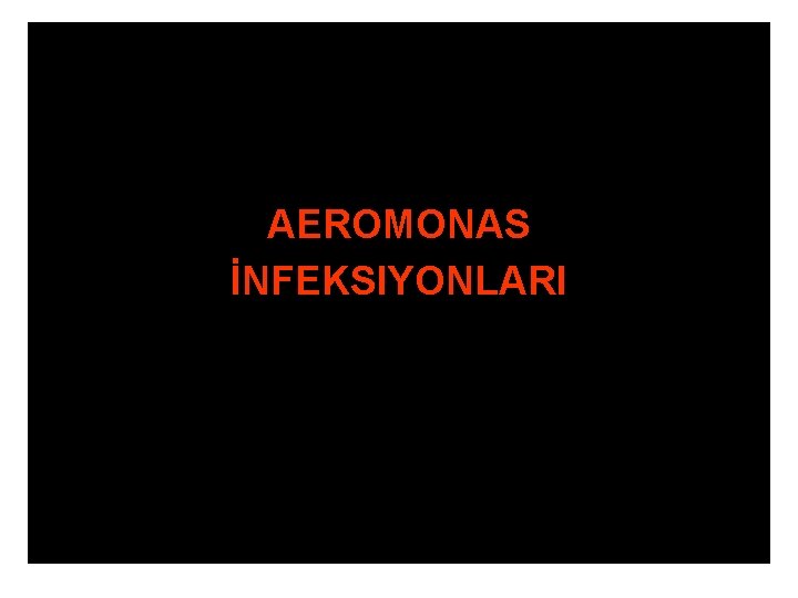 AEROMONAS İNFEKSIYONLARI 