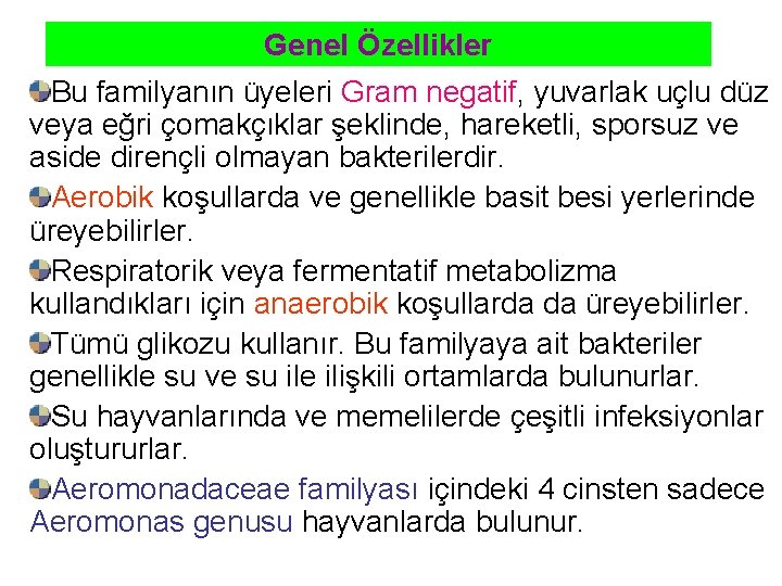 Genel Özellikler Bu familyanın üyeleri Gram negatif, yuvarlak uçlu düz veya eğri çomakçıklar şeklinde,