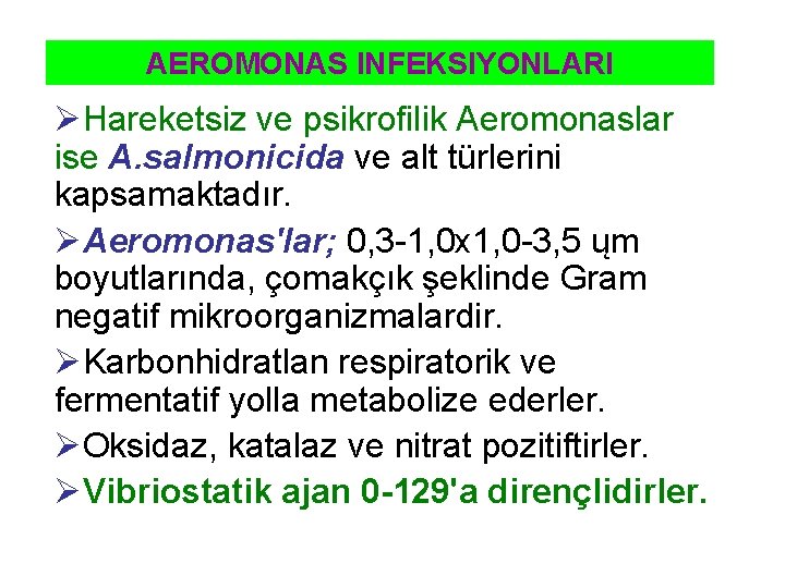 AEROMONAS INFEKSIYONLARI ØHareketsiz ve psikrofilik Aeromonaslar ise A. salmonicida ve alt türlerini kapsamaktadır. ØAeromonas'lar;