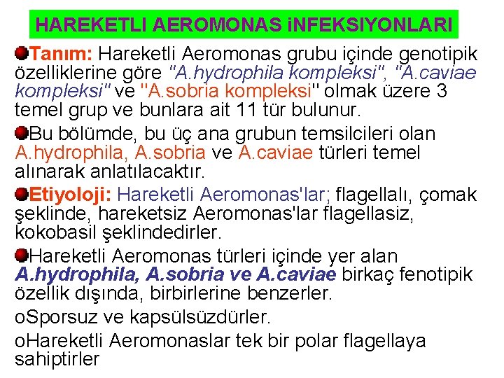 HAREKETLI AEROMONAS i. NFEKSIYONLARI Tanım: Hareketli Aeromonas grubu içinde genotipik özelliklerine göre "A. hydrophila