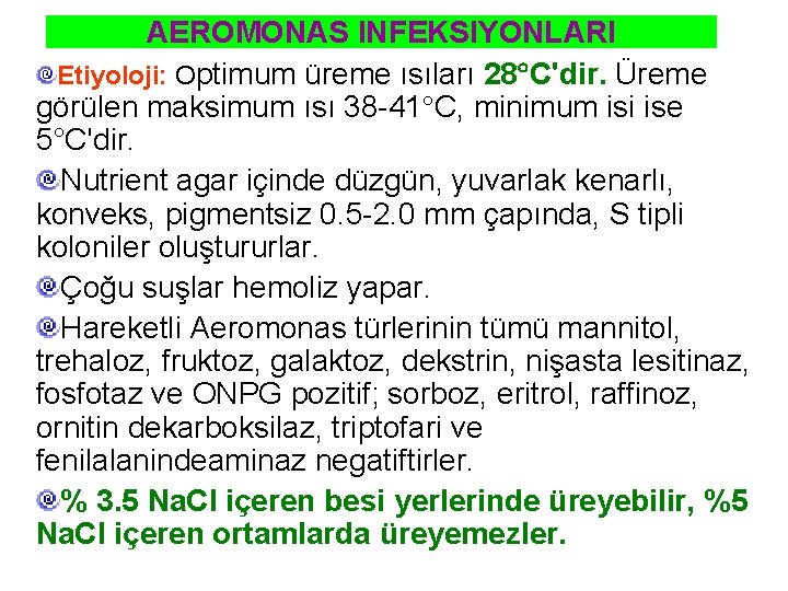 AEROMONAS INFEKSIYONLARI Etiyoloji: Optimum üreme ısıları 28 C'dir. Üreme görülen maksimum ısı 38 -41