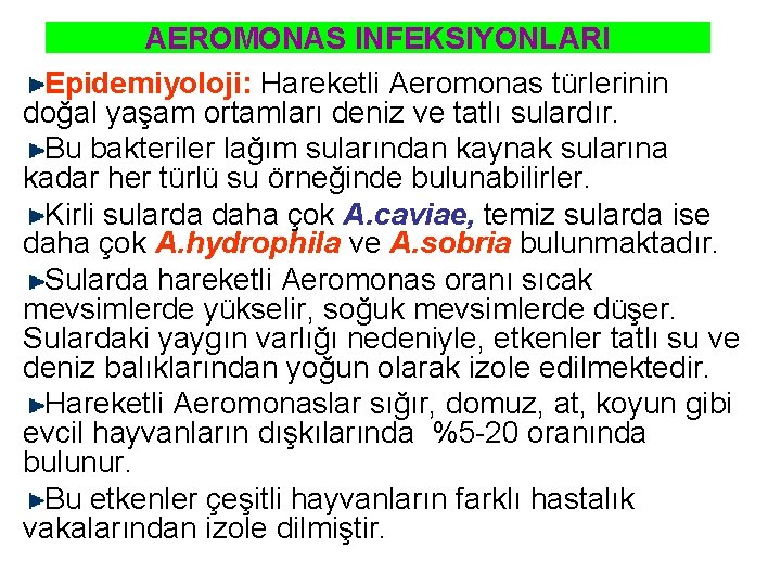 AEROMONAS INFEKSIYONLARI Epidemiyoloji: Hareketli Aeromonas türlerinin doğal yaşam ortamları deniz ve tatlı sulardır. Bu